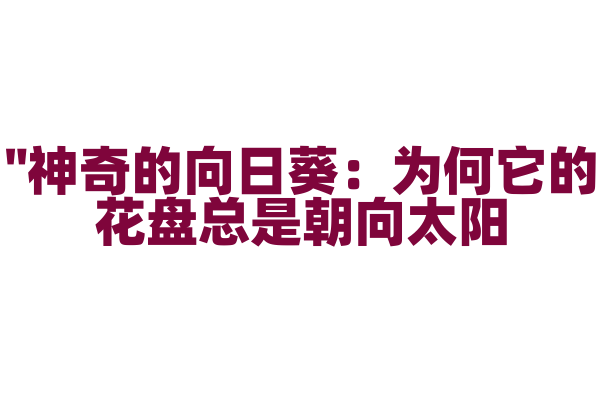 "神奇的向日葵：为何它的花盘总是朝向太阳？"